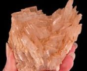 Available on Mineralauctions.com, closing on 11/2/2023.nnDon’t miss weekly fine mineral, crystal, and gem auctions on mineralauctions.com. Dozens of pieces go live each week, with bids starting at &#36;10!nnMineralauctions.com is brought to you by The Arkenstone, iRocks.com