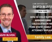 blivenlaw.net/nnLaw Offices of David Blivennn19 Court St., Suite 206,nWhite Plains, NY 10601nUnited Statesn(914) 468-0968nnNew York&#39;s child support system is based on the Child Support Standards Act. This act provides a guideline for how much child support should be paid based on the income of the non-custodial parent. The amount of child support can be modified if there are exceptional circumstances, such as high medical costs or a significant change in income.nIn New York, the amount of child