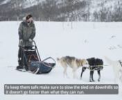Dog Sledding Safety Instructions Video from video sledding
