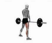 barbell-single-leg-deadlift-fitness-exercise-worko-2023-02-26-13-17-58-utc from worko