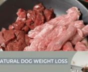 Hi guys, it&#39;s Dr. Nicole Rous! Are you concerned about your dog&#39;s weight? You&#39;re not alone! Approximately 40% of our furry friends are overweight. The good news is that you can turn things around with a balanced, all-natural diet. ��nnIn today&#39;s video, I&#39;ll walk you through one of my favourite homemade weight loss recipes for dogs. We&#39;re using lean protein like kangaroo meat, nutrient-rich organs such as beef liver and kidney, and a medley of cooked veggies and fruits. This recipe is perfect