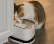 My cat loves her new fountain!!nn==&#62;https://petlibro.com/products/dockstream-battery-operated-water-fountain