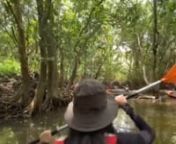 kayaking_the_unexpected.MP4 from the mp4
