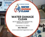 Water damage can be a devastating experience for any homeowner or business owner in Hollywood, FL. Whether it&#39;s caused by a burst pipe, a leaky roof, or a natural disaster, water damage can lead to mold growth, structural damage, and health hazards if not properly addressed. That&#39;s why it&#39;s crucial to hire a professional water damage cleanup company to handle the cleanup and restoration process.nnOne of the main benefits of hiring a professional water damage cleanup company is their expertise an