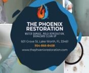 The Phoenix Restoration Mold Remediation Plantation FL is a leading provider of mold remediation services in the Plantation, Florida area. With a team of highly trained professionals and state-of-the-art equipment, they specialize in effectively eliminating mold from residential and commercial properties. Not only do they restore the structural integrity of buildings, but they also greatly contribute to the improvement of overall occupant health.nnMold is a type of fungus that thrives in damp an