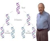 https://explorebiology.org/collections/genetics/how-dna-replicatesnnMatt Meselson describes his experiment with Frank Stahl on DNA replication