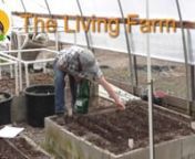 Join Lynn Gillespie in week 8 of year 6 of The High Performance Garden Show. This week she will talk about fertility of your garden and how, when, and what plants to feed. And the pepper plant go in the ground!nnWhat Can I Plant Today? (scroll down)https://thelivingfarm.org/high-performance-garden-show/nnSponsor the show! nnhttps://highperformancegardening.mykajabi.com/sponsorship-programnnEasy PVC Trellising system:https://thelivingfarm.org/project/tomato-trellis/nnEnroll in the High Performanc