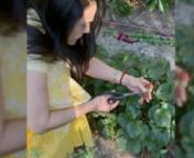 ‘My Mumma had planted these’: Preity Zinta can&#39;t stop gushing about her organic garden at her Los Angeles home. On Instagram, the actress shared a video clip of plucking ripe strawberries. The dimple belle clad in a bright desi attire looked resplendent. She is often seen giving a tour of her kitchen garden and thanks her mother for inspiring her to grow vegetables at home. Her beaming smile shows her love for gardening.