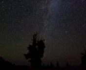 One theory behind how life could spread among the stars is that amino acids and water could arrive on planets via comets, and survive the impact.In this video, debris from the Comet Swift-Tuttle falls to earth as earths oldest living thing, a bristlecone pine, rests under the stars of our Milky Way Galaxy.Debris from the Comet Swift-Tuttle causes the annual Perseid Meteor Shower in early August.Events such as this may be tied to the appearance of life on this planet.I shot this timelapse