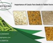 Cassia gum powder is also classified as Cassia Powder, Cassia Tora Powder, Cassia Tora Splits Powder and Cassia Gum Split Powder. Each of them is used for various different purposes like in place of Carob or Locust Bean Gum and Guar Gum Splits and in conjunction with Carrageenan Cassia Splits powder is used. An Important application of Cassia splits Powder is in preparing air fresheners in the form of gels. While Cassia Tora Seeds are bold, small and very hard. In India its Plant grows in the pe
