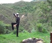 This video describes some of the lesser known details of one of the Chen tai chi movementsn~~~~~~~~~~~~~~nA LINEAGE OF DRAGONS  - This is about the powerful qigong master and Taoist immortal who was Bruce Lee’s uncle, mentor, and main kung fu teacher., It describes the nei kung he used to become one of the most powerful, and the amazing things experienced by the author.  This book describes the secret Taoist spiritual path of the warrior wizard, a rare and powerful physical, emotional, and