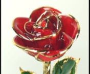 Classic Platinum Dipped Rose from rose