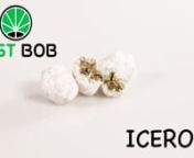 Justbob presents one of its newest products with the highest CBD content because it is covered with CBD crystals and a generous sprinkling of hashish.nWhen the customer finds himself in front of these wonderful pearls, it almost seems to him that he is doing mountaineering, precisely because they appear to be the contained versions of Dolomite rocks covered with soft snow.nnDiscover it on the shop: https://www.justbob.shop/product/icerocknnThe OverviewnnIt has small and medium sized snow white b