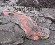 Highlights from a typical UHH Geology Department field trip. Students visit lava flows from Kilauea volcano with UHH Professor Ken Hon, accompanied by USGS scientist Matt Patrick. The scientists document the eruption with video and still cameras, and the students learn how to map the perimeter of the active flow by marking GPS waypoints. Students collect lava samples, quenching the molten rock in a coffee can full of water; the cooled samples will later be analyzed in the lab to determine the pr