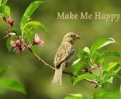 #Birdschirping #relax, #sunskyrainmoon, #study #sleep #healingwithnature #asmrnn� Does birdsong make you happy?nIf you are able to step outside and hear many types of birds, you might also have a greater feeling of well-being. Two studies show that hearing diverse birdsongs may help increase our happiness.nThe positive effects of birdsong on humans is well documented. The sounds of birds, especially songbirds, has consistently shown to improve mood and mental alertness. An experiment with Brit