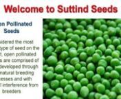 Suttind Seeds is an online store for home gardening, Kitchen gardening, terrace gardening like Native/Desi vegetable seeds, fruit, flower seeds, grow bags, Garden tools. Read More at https://suttindseeds.in/