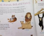 animals and brids, inscets from brids