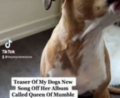 Teaser of My Dogs New Song Off Her Album called QUEEN of Mumble Rap... I hope you like it.�nnnRumblenRumble / Dogs &amp; Puppies — If you are looking online for a funny or cute video, dogs are one of the most popular stars of these types of videos! Pets and dogs offer some of the funniest moments you will ever see! They are so innocent and cute, and you can’t help but realize that most of the things they do are cute. There are different types of dogs to match any person, and you can find a