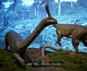 Fernbank Museum Antarctic Dinosaurs Exhibit V2