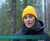 Hur hittar man finansieringsalternativ för att skapa en rikare biologisk mångfald? Det svaret hoppas forskaren Aleksandra Holmlund kunna ge inom några år. World Forest Forum träffade henne i skogarna utanför Sävar i Umeå.