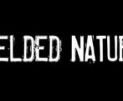 Yielded Nature is a short film set to the song