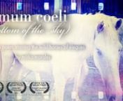 Imum Coeli (bottom of the sky) is a film poem starring the wild horses of Vieques. It&#39;s a meditative journey from cold San Francisco windows to the idyllic island of Vieques (Puerto Rico), a former US military base where the horses roam free. The Imum Coeli, which in Latin means