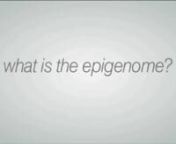 An introductory look at the relationship between DNA, genes and the Epigenome.