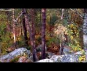Here is a 2 minutes short action moviel/clip shot entirely with the new Iphone 4S. I wanted to test the new stability feature of the camera and I was impressed by the result. nnI shot this in the forest of Fontainebleau, (near Paris) with the automn colors, I saw that this was a perfect time of the year to do that. nnThe story is about a mysterious boy leaving in the forest with some specials abilities...nnnnMore technical infos :nnnTo stabilize the camera I used :nn- Smoothshot stabilizer http: