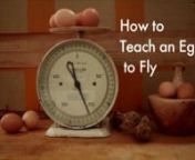 How to Teach an Egg to Fly from teran