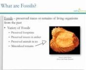 After this lesson you will be able to analyze and evaluate scientific explanations for data in the fossil record of sudden appearances, stasis, and sequential nature of groups.