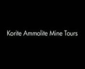 Learn about Alberta history, geography, geology, gemmology &amp; paleontology, by touring the Korite Ammolite mine located 25 minutes outside of Lethbridge. Tour packages can be designed to suit your groups needs. Tours offered June 15th to September 15th with destination modifications upon weather conditions.