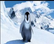 Happy Feet Bande-annonce (IT) from pipa feet