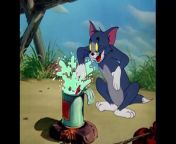Tom and Jerry Best of Little Quacker Classic Cartoon Compilation from excluisve animated 164