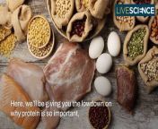 Wondering if you need to eat meat to get protein into your diet? &#60;br/&#62;Discover alternative sources of protein, from plant-based to powder supplements.