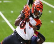 Predictions for NFL Free Agency and Franchise Tag Players from desi bengal ta