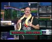 the store carries only legal unendangered animals and fish. Tropical Fish Pond served as a major location in the comedy adventure film PI BLUES featuring the store mascot
