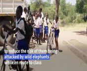 Running into elephants or a pack of hyenas on the way to school is not an unusual experience for kids living near a nature reserve in northwest Zimbabwe. To reduce the risk of being attacked by wild animals, dozens of schoolchildren have been given bicycles to reduce the time they spend on foot during their journeys to and from class.