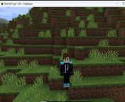 Minecraft WORLD SINGLEPLAYER! from journeymap mod minecraft