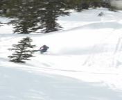 This snowmobiler was jet skiing at full speed, jumping in the mountains when he unexpectedly collided with a tree and was thrown off the vehicle.