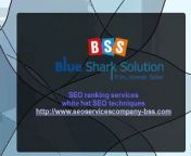 Blue Shark Solution provide a wide range of Best SEO services which follows only White Hat SEO Techniques for Back Link. We are an honest, trustworthy &amp; Best SEO Company.&#60;br/&#62;http://www.seoservicescompany-bss.com