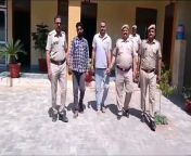 Drug smugglers whom the police were searching for were caught with cash worth lakhs and 95 kg of poppy seeds