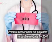 A stark warning emerges as prostate cancer cases are projected to double globally by 2040, with annual deaths expected to rise by 85%. This crisis will hit hardest in low- and middle-income countries, where resources are scarce. Veuer’s Maria Mercedes Galuppo has the story.