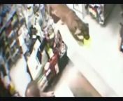 A tiger caused customers to panic in the store from vidmate download play store
