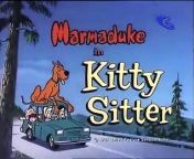 Heathcliff And Marmaduke - Kitty Sitter - A New Kit On The Block - Babysitting Shenanigans - Barking For Dollars ExtremlymTorrents from kit kat tv