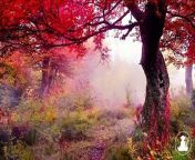 30 MinutesRelaxing Meditation Music • Inspiring Music, Sleepand calm anxiety (Red leaves) @432Hz from carpentry work