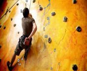 The Best Career Move I Ever Made Was 5 Steps Backward on the Corporate Ladder&#60;br/&#62;Think of Your Career as a Climbing Wall, Not a Ladder&#60;br/&#62;