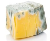 The cheese landscape is punctuated by myths and legends, only some of which hold any water. Want to know which stories have as many holes in them as Swiss cheese? These are some of the top contenders for cheesiest myth.