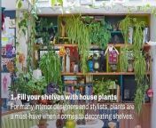 Tips and advice on how you can fill your shelves with house plants.
