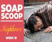 Coming up on Neighbours... Haz is knocked over by a car.