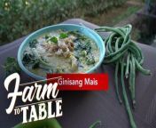 Aired (April 28, 2024): To give back to Chef JR Royol and his Sinigang sa Pakwan, Aidan Veneracion’s aunt prepares for him a Ginisang Mais.&#60;br/&#62;&#60;br/&#62;